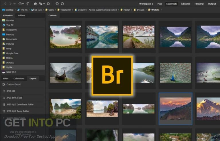 Adobe Bridge 2026