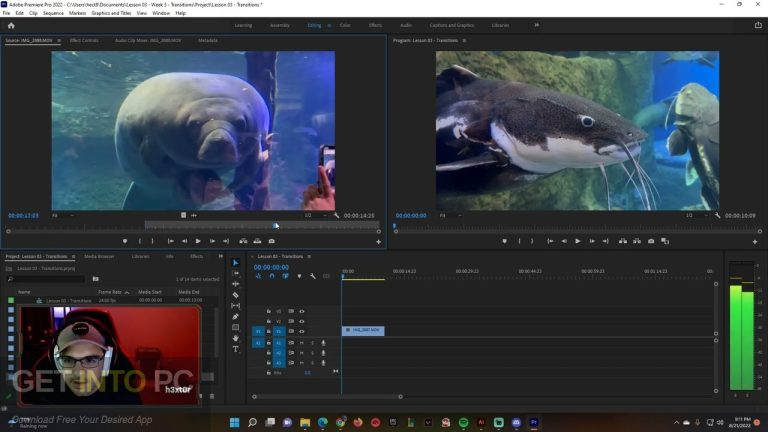 Adobe Animate 2026 - GetIntoPC